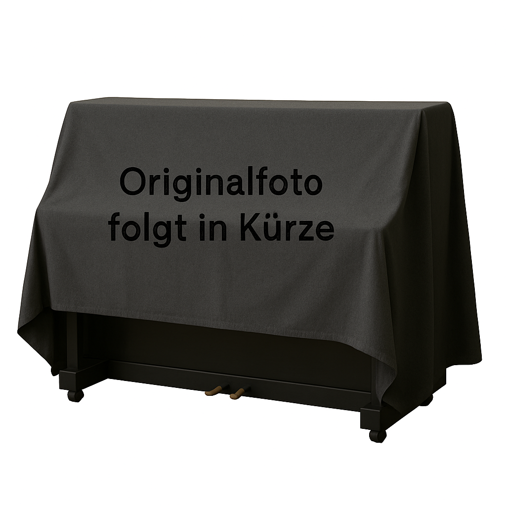 Klavier C. Bechstein Residence „Millenium“ - Schwarz Hochglanz