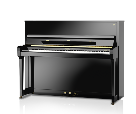 Klavier Fridolin Schimmel 116 Tradition
