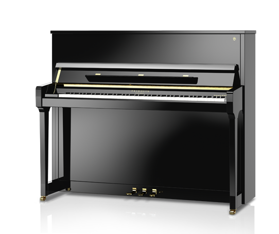 Klavier Fridolin Schimmel 123 Tradition