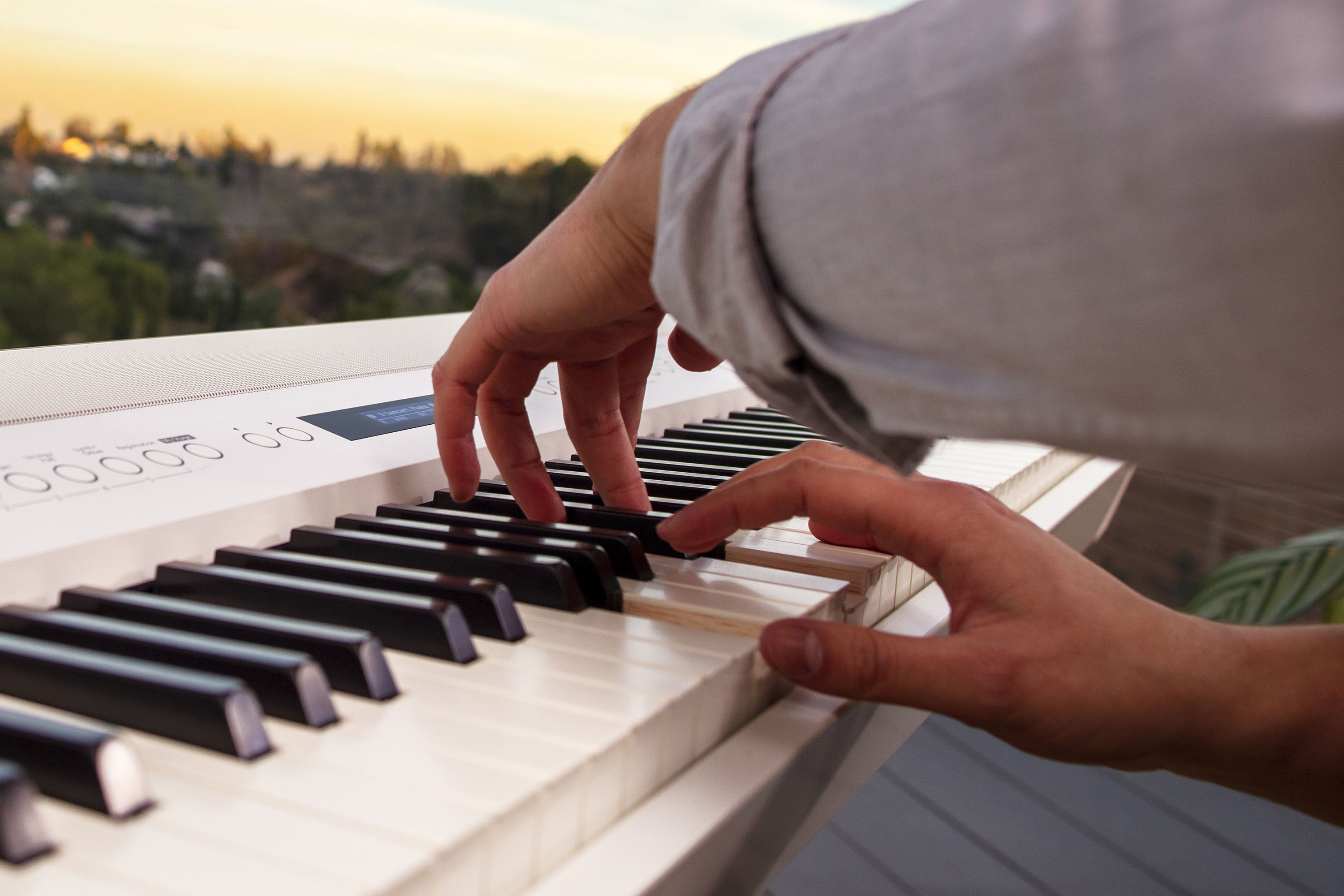 Portable Piano Roland FP-90 X