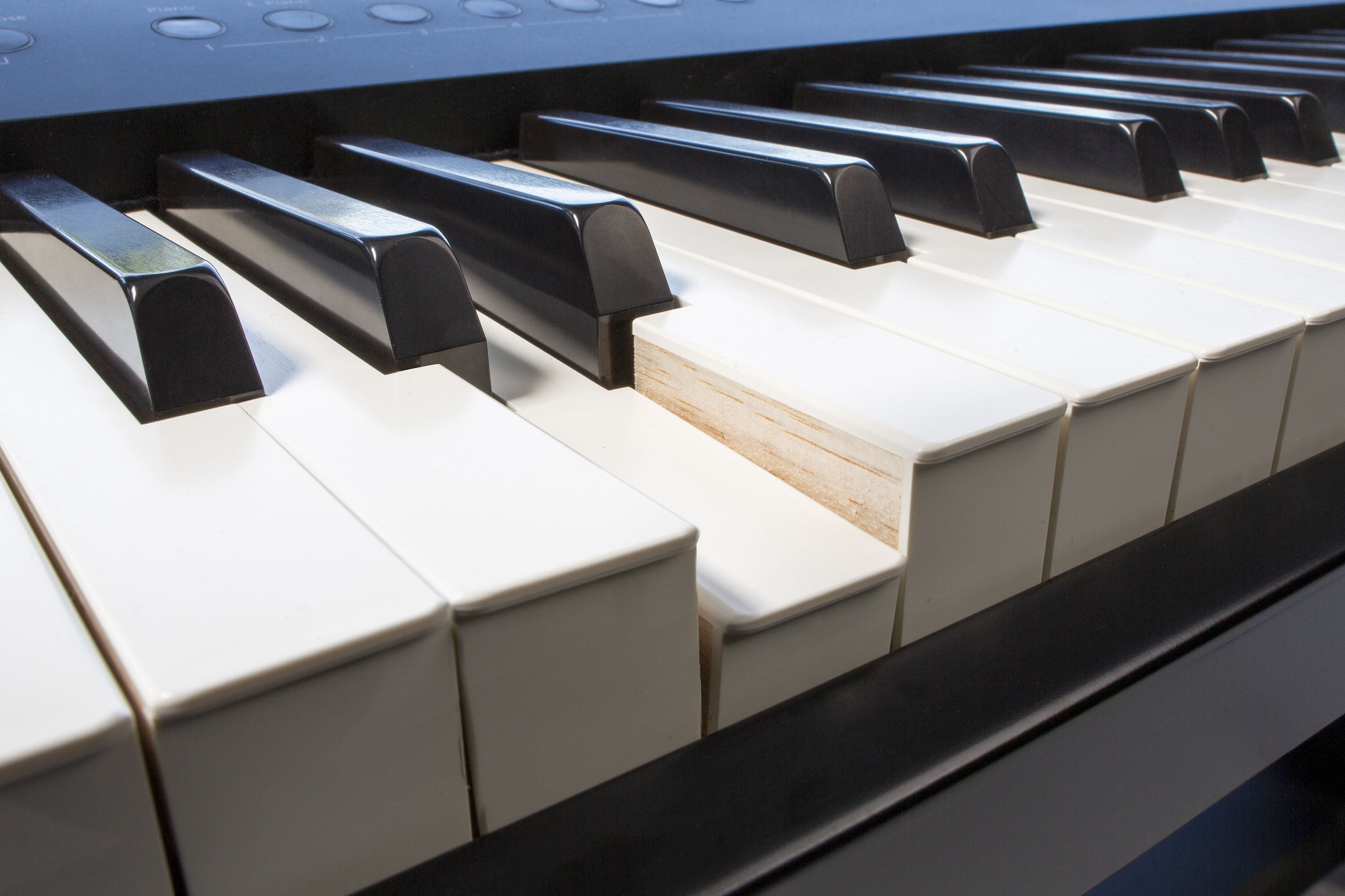 Portable Piano Roland FP-90 X
